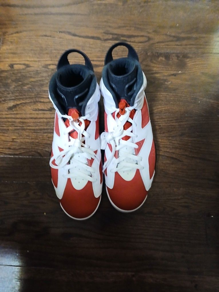 Nike Air Jordan CARMINE 6 Sz12