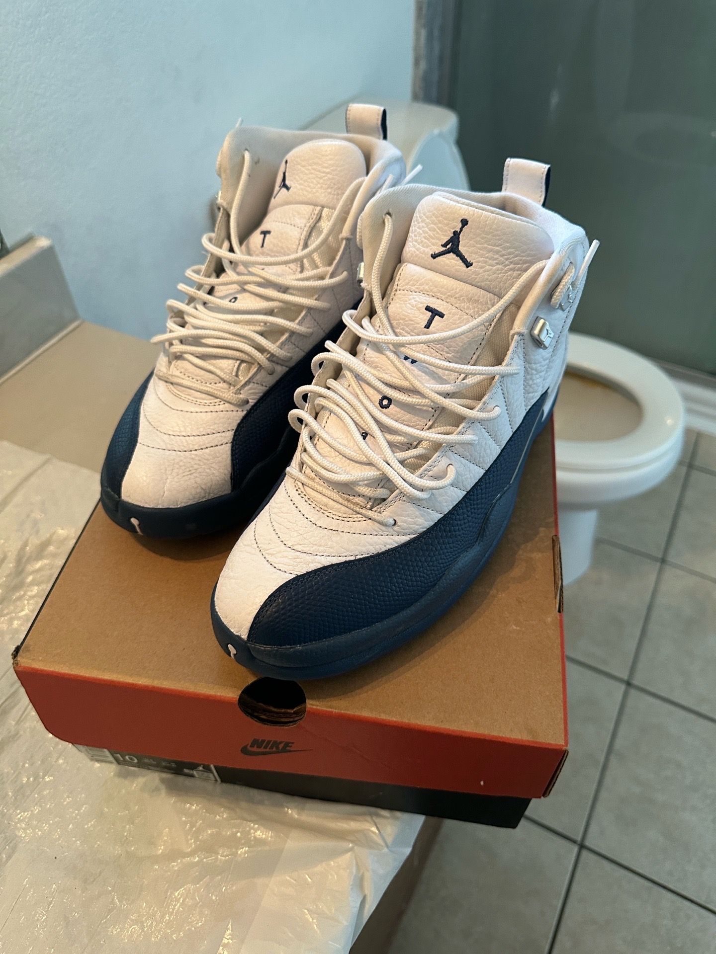 French blue Jordan 12