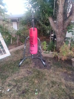 Punching bag and stand