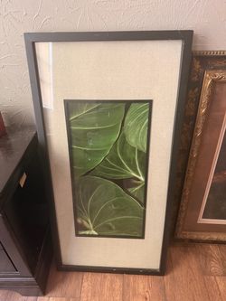 Framed Botanical Leaf Print Wall Art