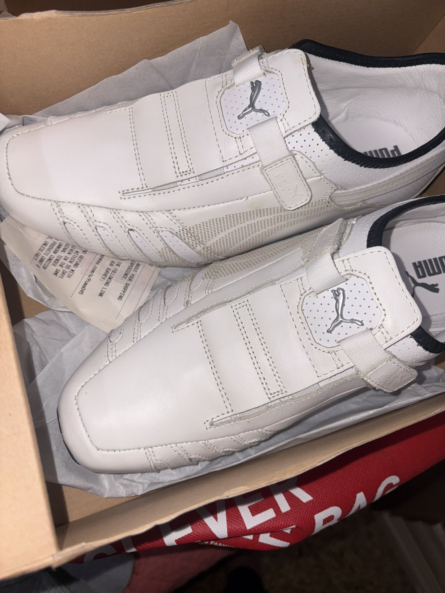 Puma 
