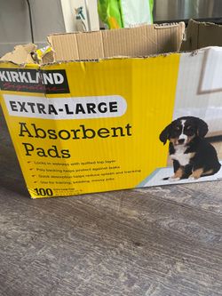 Kirkland Signature Extra-Large Absorbent Pads 31 ct