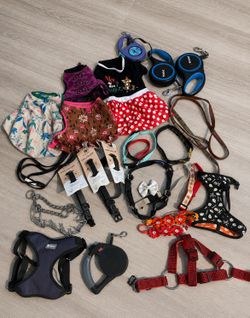 Small Dog / Puppy Accessories