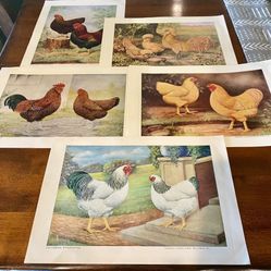 Antique Art Prints From the 1920s & 1930s—Poultry Tribune Supplement—$8 Each