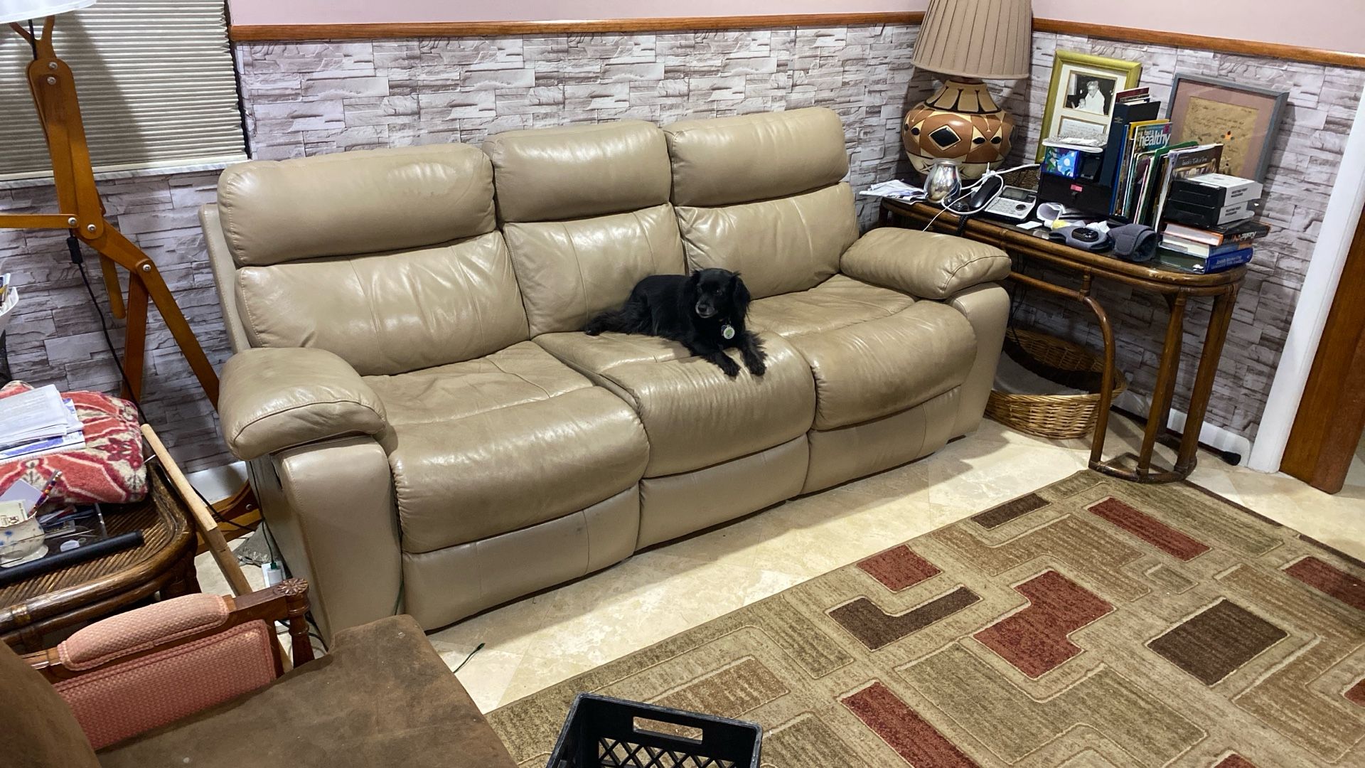 Leather sofa Reclining Chairs