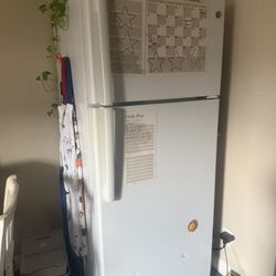 Fridge 