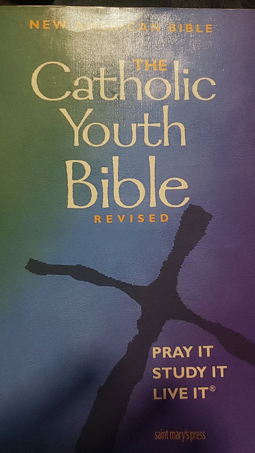 Book The Catholic Youth Bible