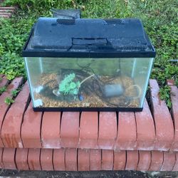 10 Gallon Fish Tank With Filter And Pump