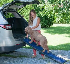 Full length ramp for pets