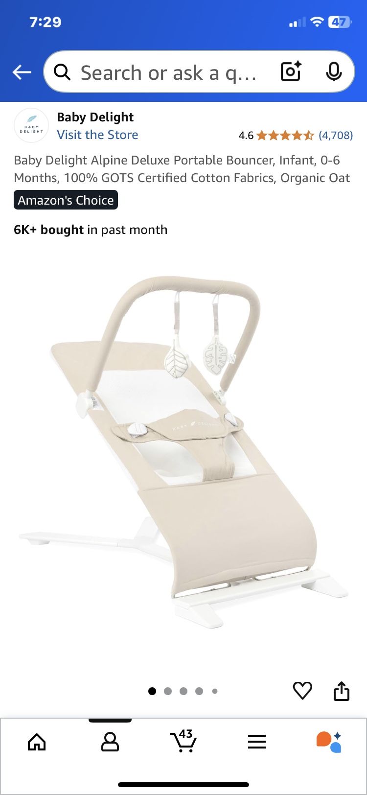 Excellent Condition Organic Oat Baby Delight Bouncer