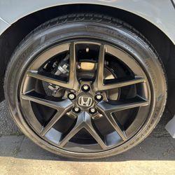 Curb Rash Delete 