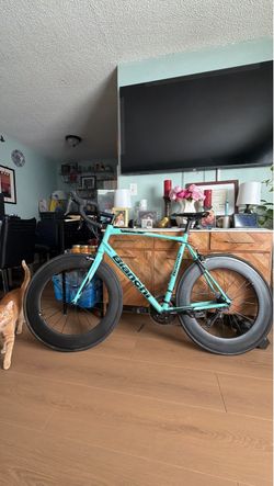 Bianchi roadie frameset /trade