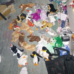 Beany baby collection