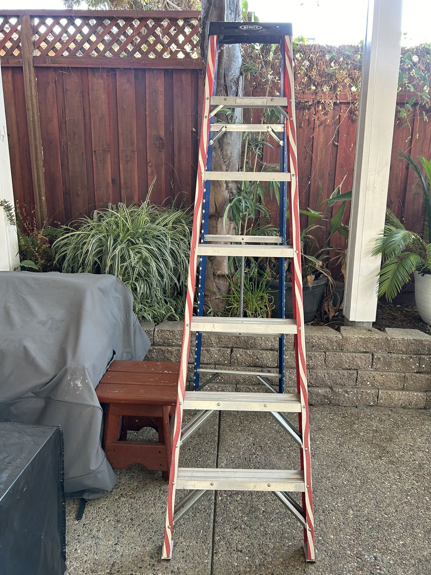 6ft Ladder