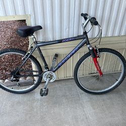 Raleigh M30 Mountain Bike 