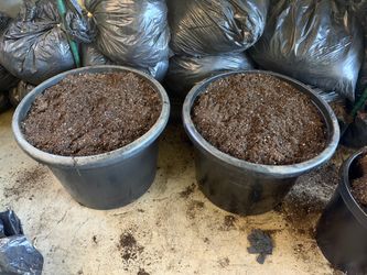 Potting soil