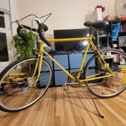 1970 Schwinn Continental (For Those 5'10+)