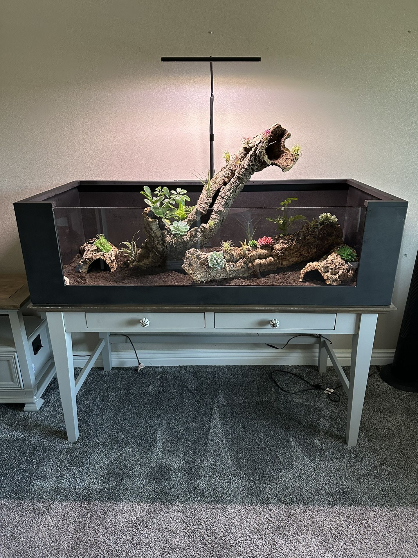 Reptile Enclosure