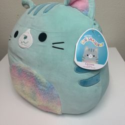 Dolls And Neck Pillows