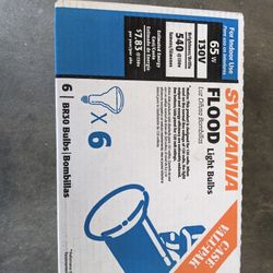 New Case Of Sylvania Flood Lights Recessed 65br30