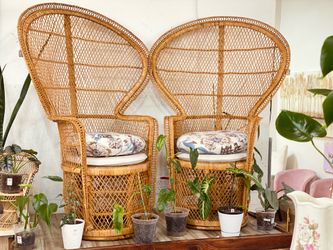 Peacock Wicker Chair