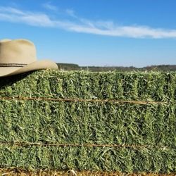 Hay