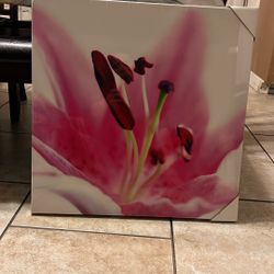 Flower Artwork Painting 