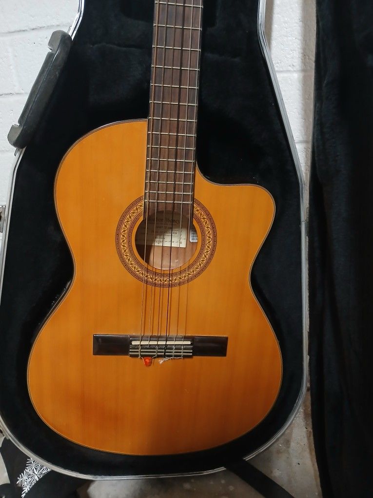 Ibanez Guitar