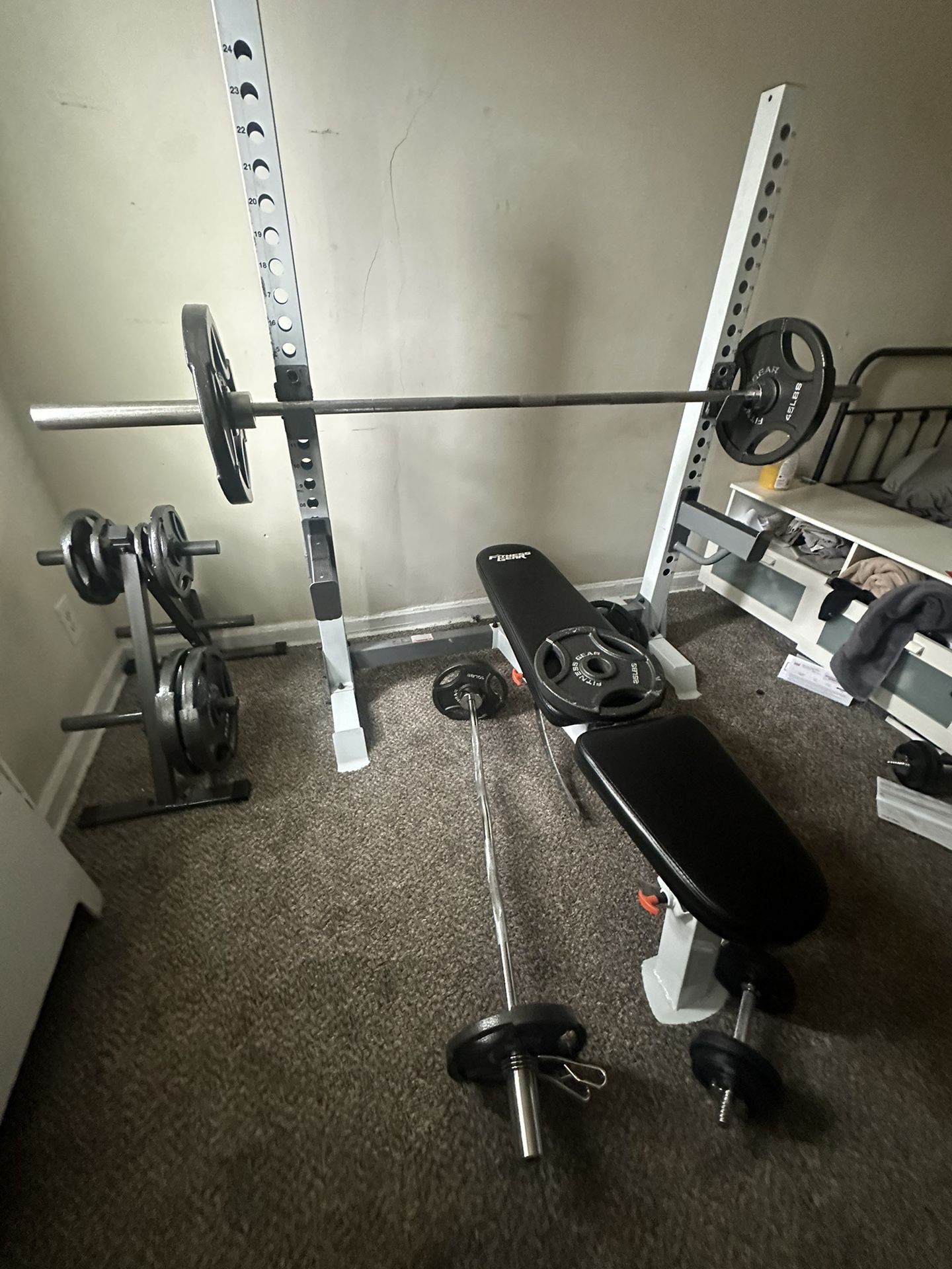 Bench With Bar And Weights + Curl bar
