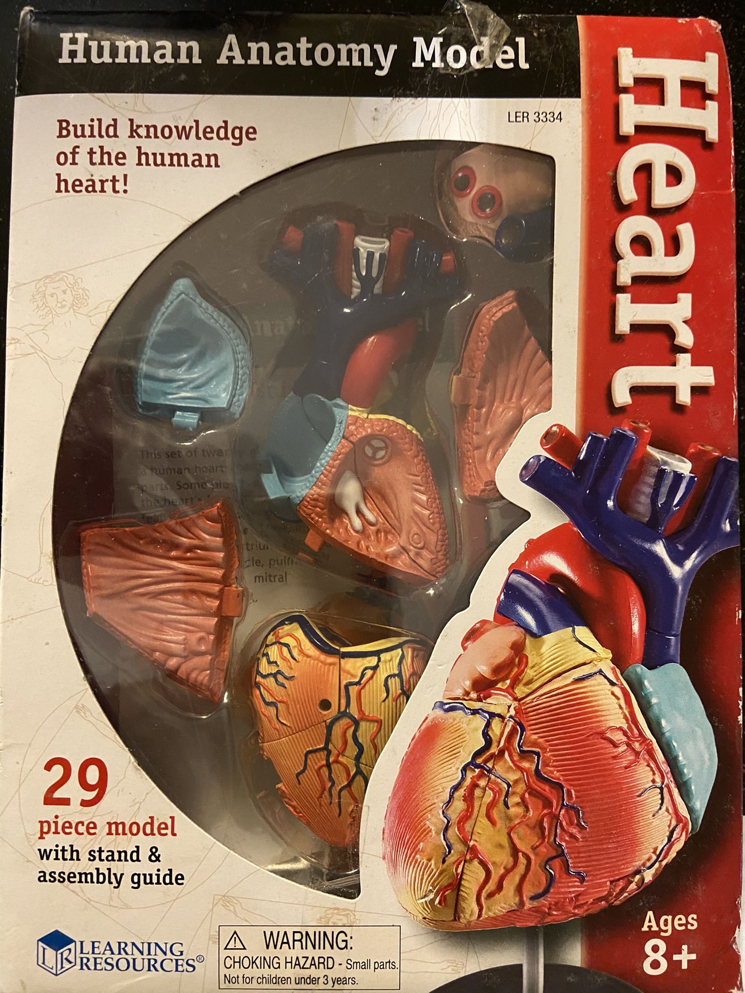 Medical Professionals Dream Models. $25 Ea Set Or $80 all 4 Sets