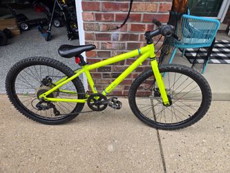 Raleigh 24 inch kids mountain bike