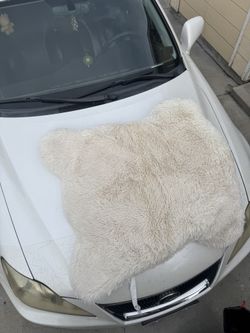 Dog Bed XL