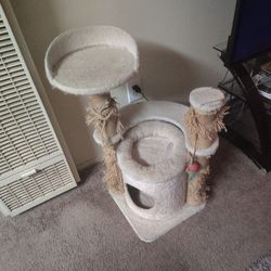 Cat Tree