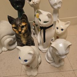 Cat Collection 