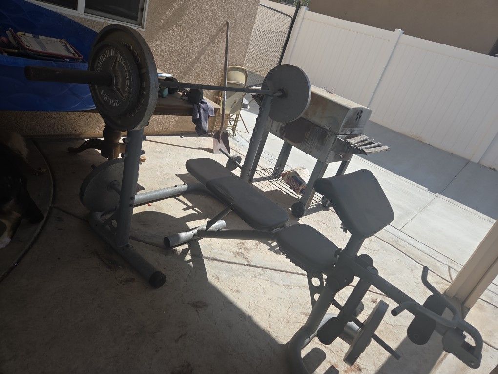 Bench + Weights
