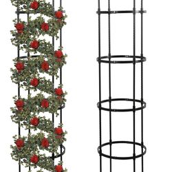 2 Pack Garden Obelisk Trellis for Climbing Plants Outdoor, 6FT 