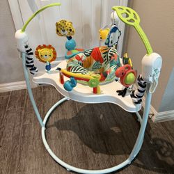 Fisher Price Baby Bouncer