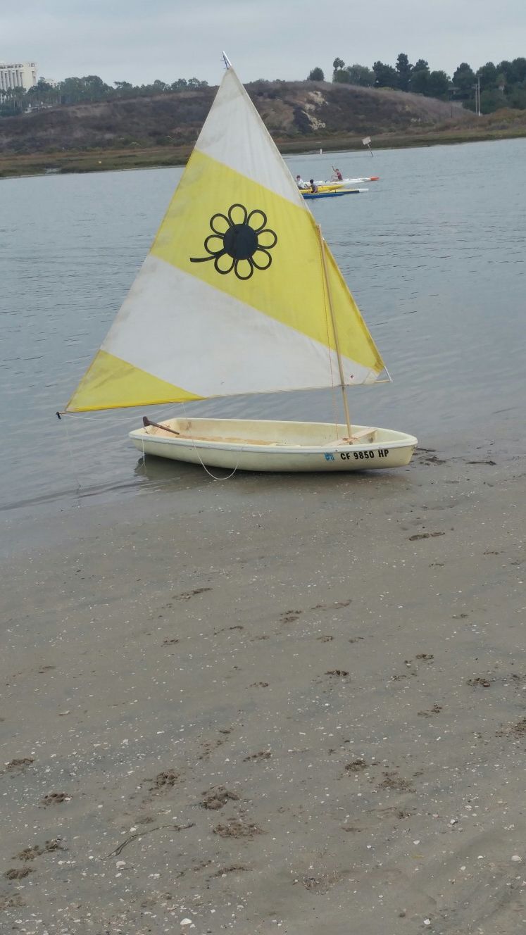 Snark sunflower ready to sail
