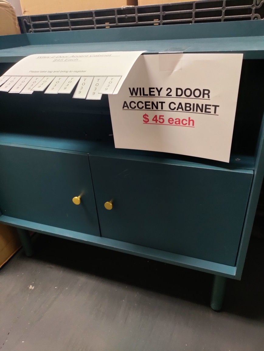 WILEY 2 DOOR ACCENT CABINET
Blue Finish Solid Wood Legs
Project 62 Target