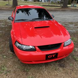 2000 Ford Mustang