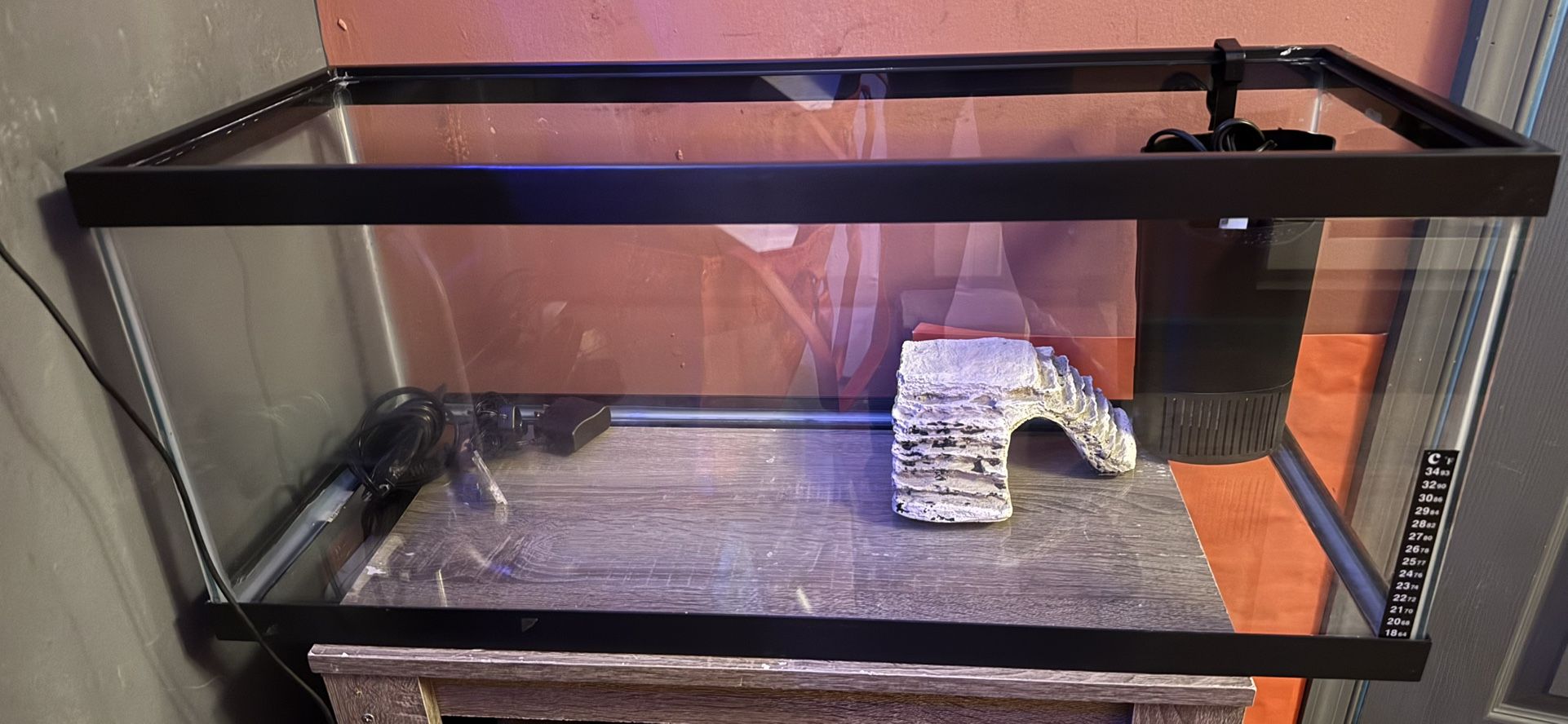 20 Gallon Tank