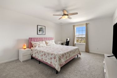 Pink Velvet King Bed