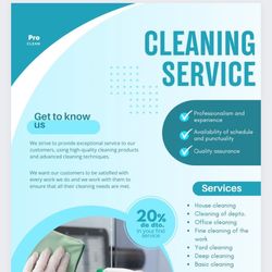 Professional Cleaning Service
