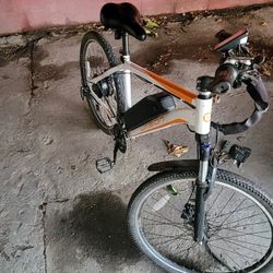Electric Bike