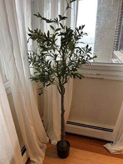 Artificial Olive Tree – $10