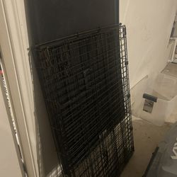 Dog Kennel