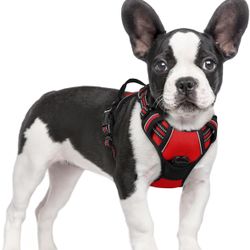 Rabbitgoo Dog Harness No Pull with 2 Leash Clips Adjustable Reflective Red&Teal