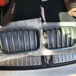 Bmw X3 Kidney Grills