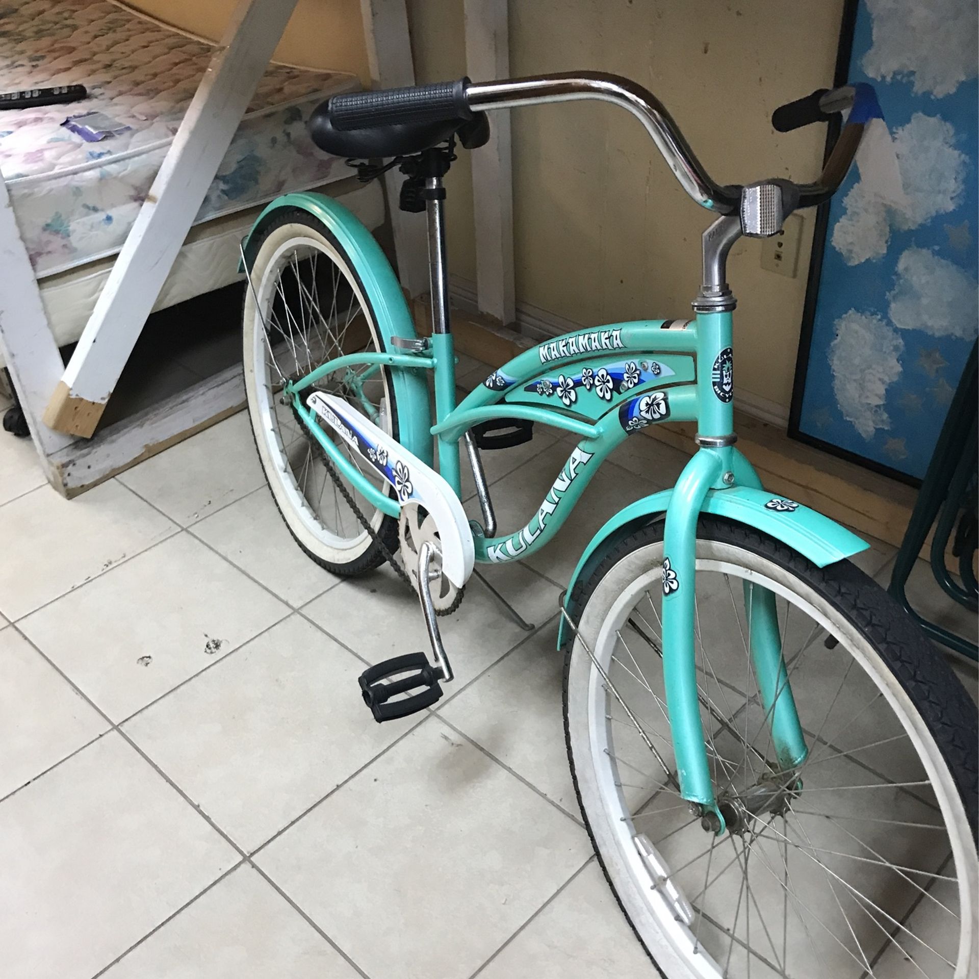 Lady Cruiser Bicycle 