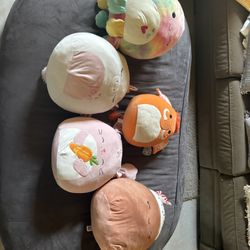 Large Squishmallows